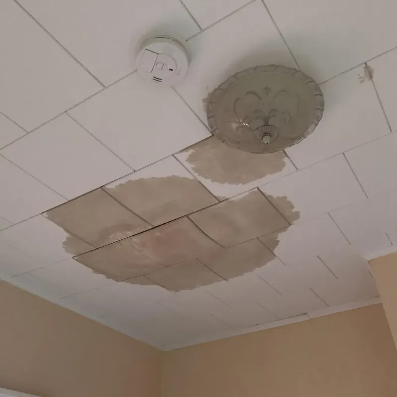 Ceiling Water Damage Repair in Springfield, CO
