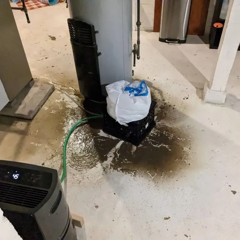 Sewage Backup Cleanup Service in Springfield, CO
